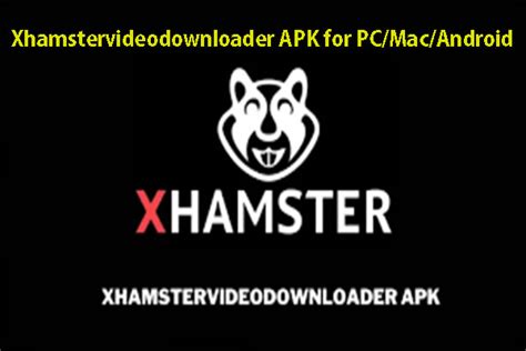 xhampster to mp4|xHamster Downloader: Free Download xHamster Video Online